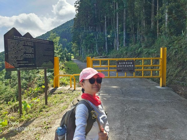 林相優美的油羅山，細數蟬鳴鳥叫2546791