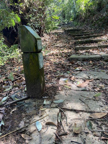 水社大山3060320
