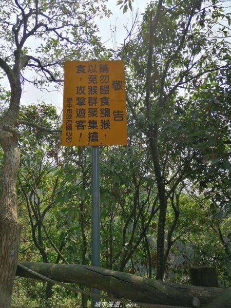 【台中。北屯】台灣百大必訪步道。 大坑四號步道1338778