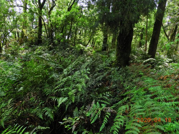 宜蘭 大同 旗山(未竟)923556