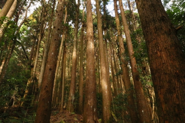 加里山之行257000