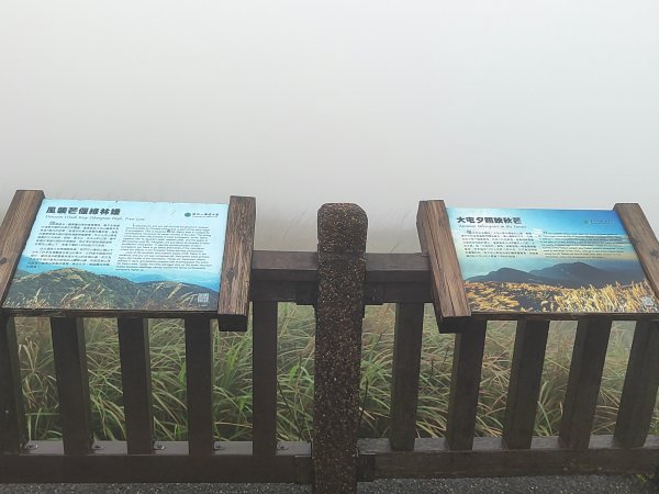 2026臺北大縱走第一段&第二段3011316