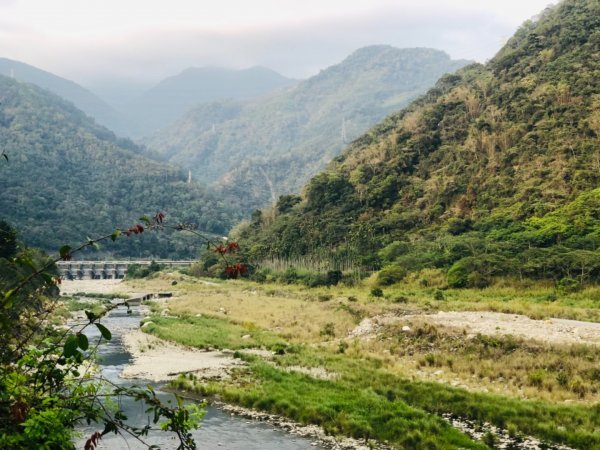 唐麻丹山蝴蝶谷步道1329432