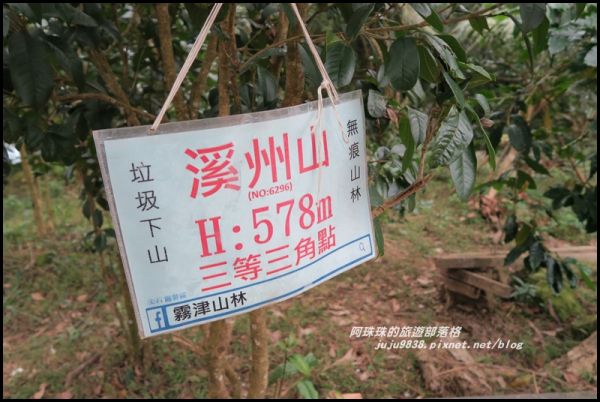 溪洲山步道和石門水庫之美402387