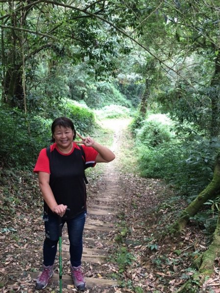 特富野古道賞舊鐵道479701