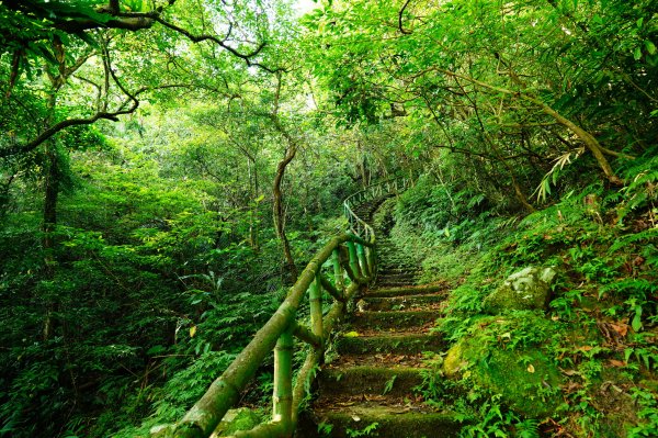 新北 雙溪 蝙蝠山、梅竹蹊山3079895