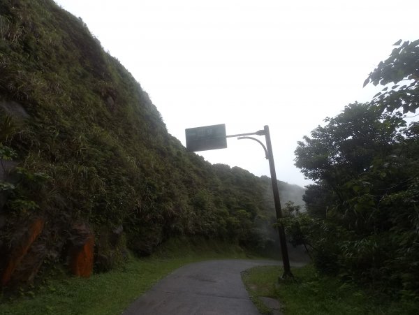 20200525樹梅坪、燦光寮、貂山古道977116