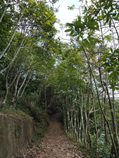 2023.11.30 九份二山2677664