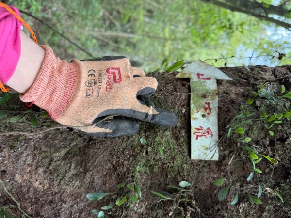 桂山路197巷 》呂奔山北峰 》呂奔山 》阿玉壩2755818