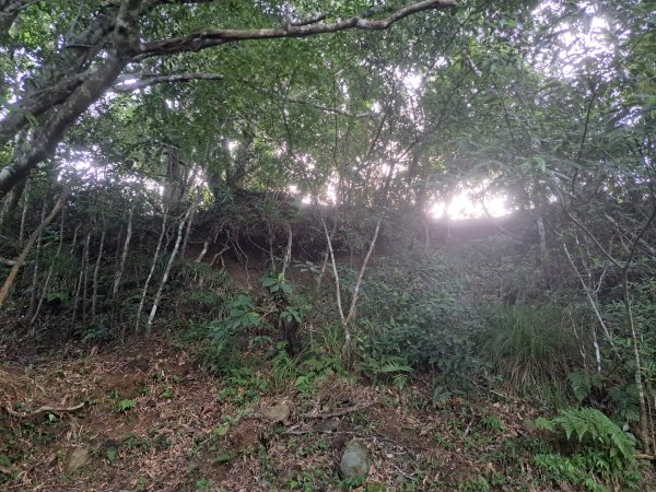 小百岳集起來月眉山步道3113054