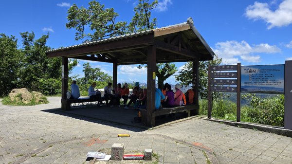 微笑山線大棟山系405高地＋百年大榕樹段，經典路線樹鶯縱走，串連青龍嶺、大同山等山峰2848376