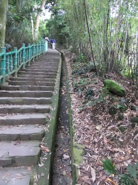 飛鳳山‧觀日坪210889