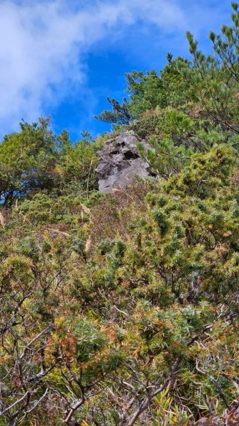 20251214合歡西北下華崗2963729