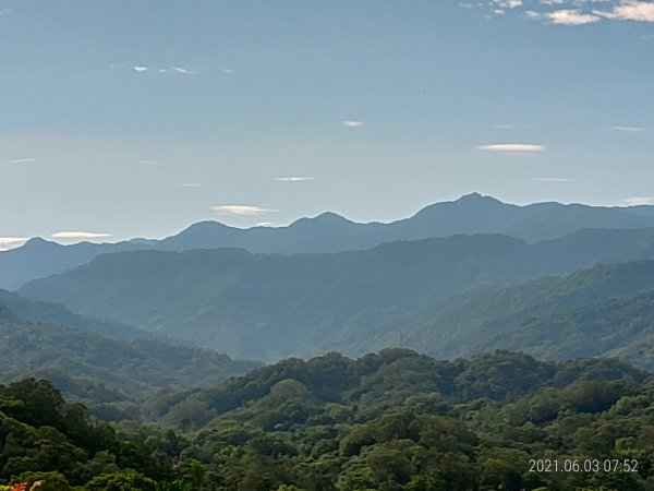 六月上旬晨走義確山下1413403