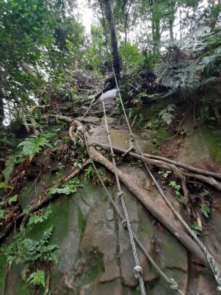 小百岳:金面山1619276