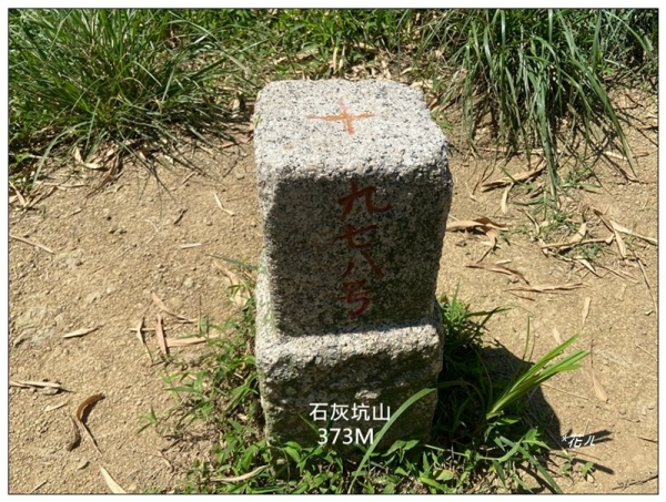 中坑山．石灰坑山．望湖山 連走