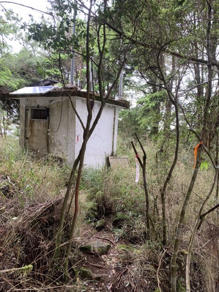 20250517義義兒玉山-東水山2791697