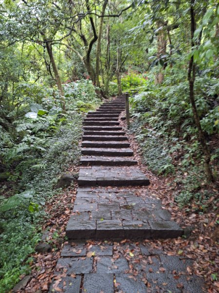 20251019 苗圃-七星山-小油坑2921118