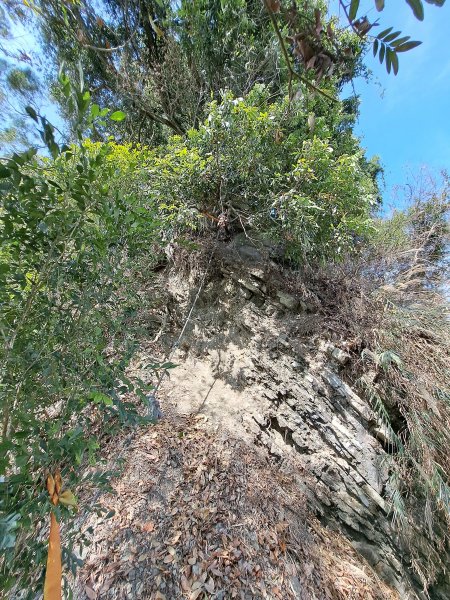 竹山八通關古道社寮段+陳東坑山+溪洲大山ｄ型走202302192037458