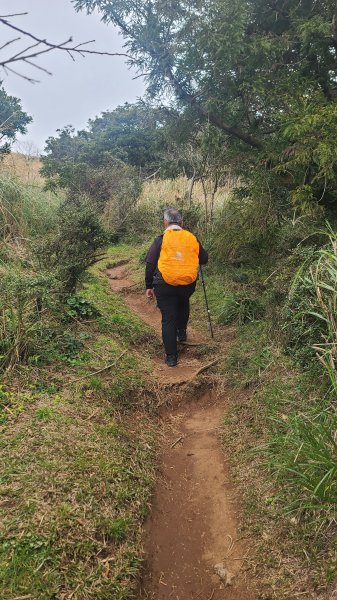 2026-0116 大屯三山_貴子坑_北投2984720