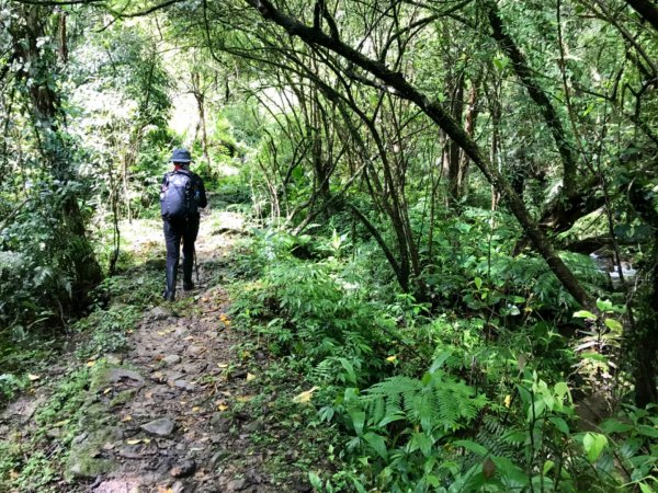 崩山坑古道環走中坑古道632772