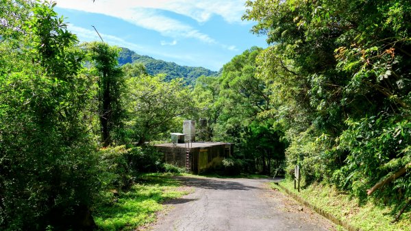 南勢坑小尖,大尖2816053