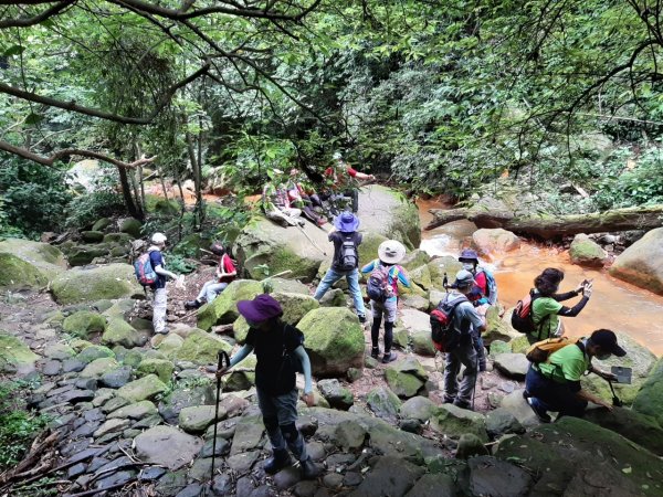 《暢遊天母翠峰瀑布、天母古道、下竹林山、玉稠湖山主峰&南峰》1445655