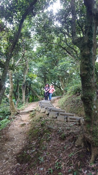 桃園龜山-兔仔坑大棟山987062