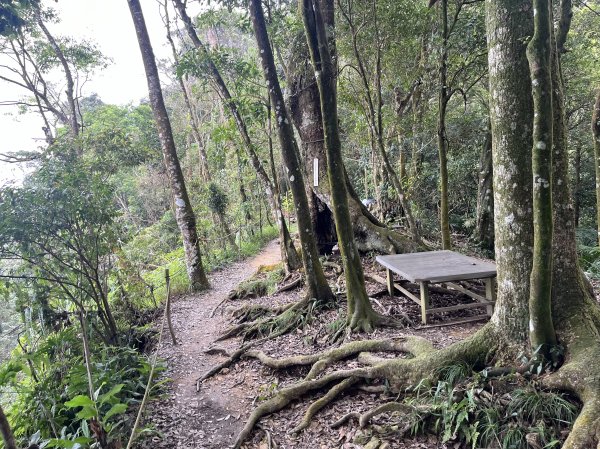 [屏步青雲 尋寶任務-02/10] 2024_0916 尾寮山登山步道2597390