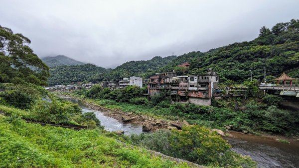 金字碑古道,大粗坑步道2518856