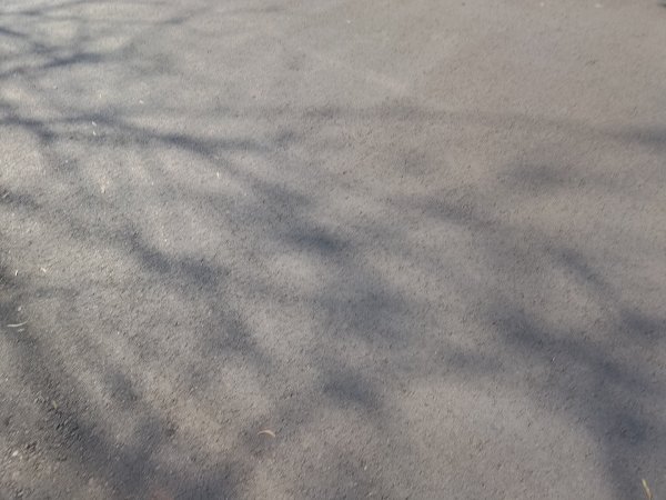 藤山步道登樟普寮一等三角點+挑水古道2749493