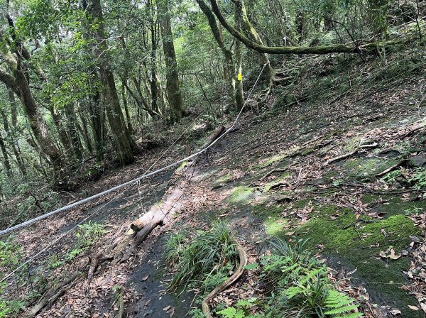 2025_0601 北插天山2802344