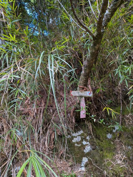 結界縱走三日(結城山、境界山、檜山)2920915