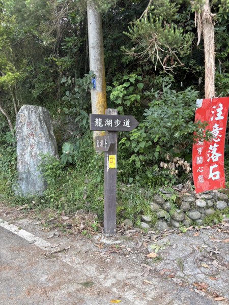 20251025南化龍湖寺至紫竹寺O繞(石松子山.大竹崙山.竹子尖山)2925076