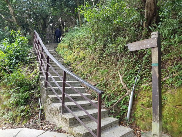 2021.01.25信義區-虎山稜線步道1247787