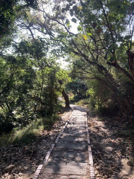 大肚萬里長城步道2973909