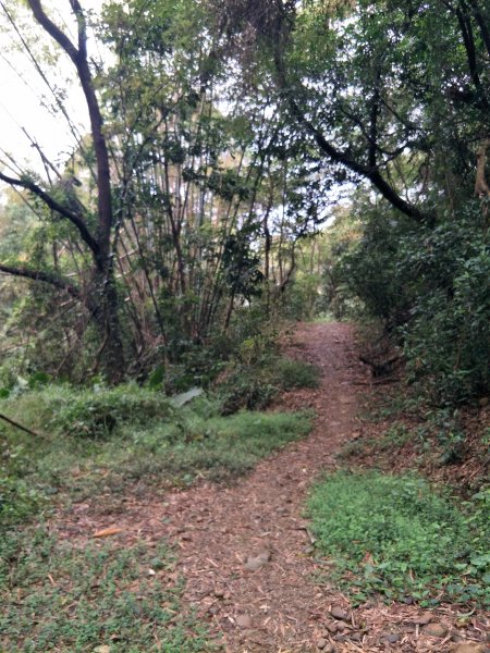 小百岳：橫山1590313