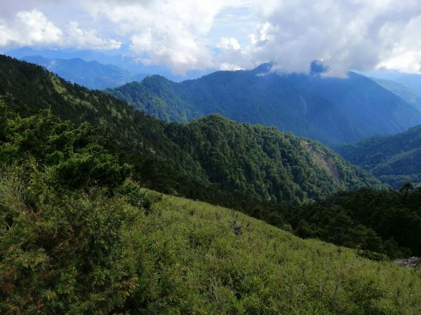 南投仁愛~站在雲端上。百岳~合歡主峰步道1013549
