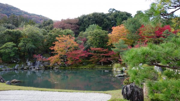 日本京都嵐山652019