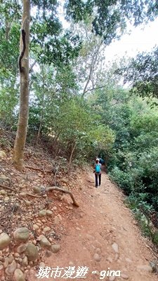 【苗栗三義】台灣百大必訪步道。 火炎山、南鞍古道O繞x火炎山下花海2954164