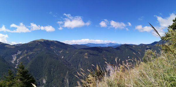 屏風山--岳界說的鳥山，其實不鳥～很辣703245