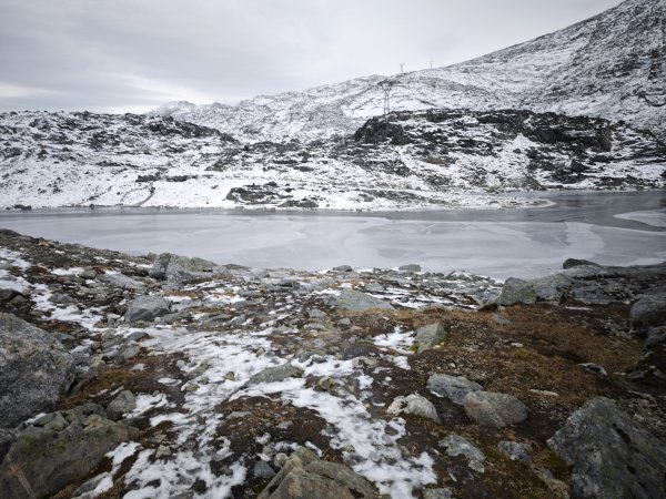 [紐約馬之行-46] 2025_1108 努克環狀步道 3/52951365