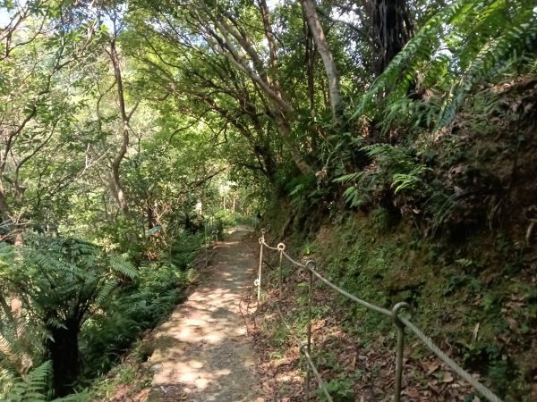 平溪區大華步道+幼坑古道+幼坑崙(大華車站-三貂嶺車站)2925277