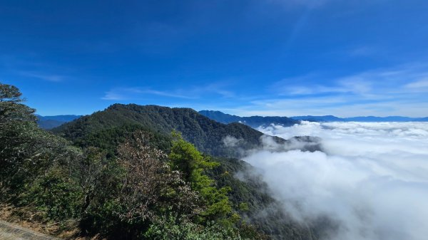 鳶嘴山雲海季開動嘍2634289