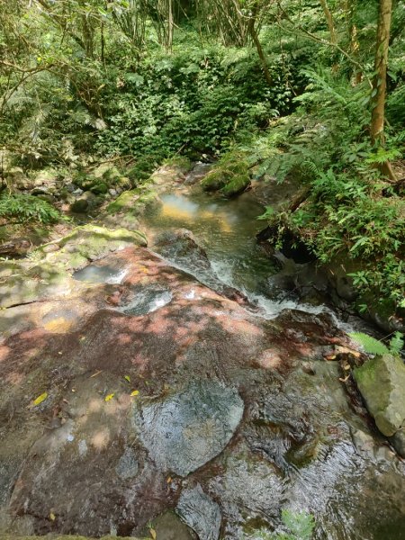 打鐵寮-草嶺山-白石山3043771