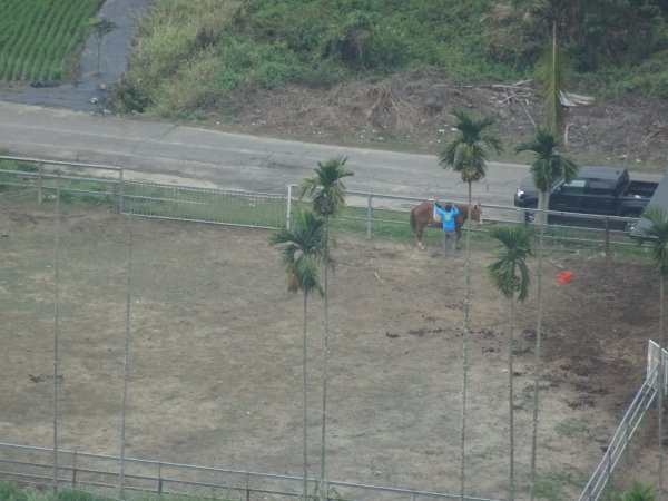 台灣小百岳第72座高雄旗山旗尾山之三角點551173