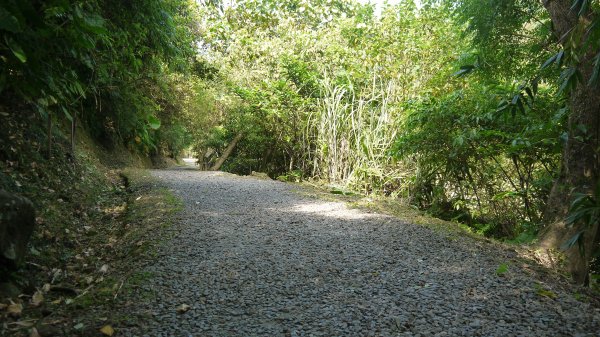 外按古道登山健行趣(淡蘭南路TK3-3)2269051