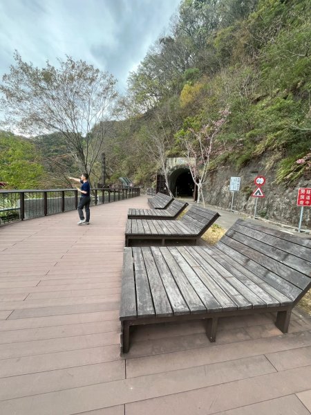 桃園 復興 巴陵隧道3011942