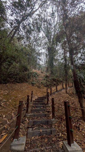 後尖山步道3008295