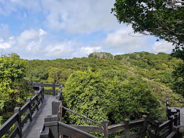 [百山百鳥尋旅-02/15] 2025_0809 社頂自然公園步道2856951